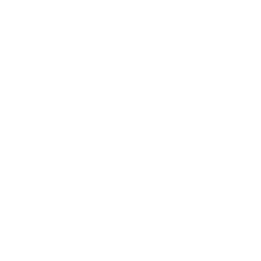 Apostille Légalisation